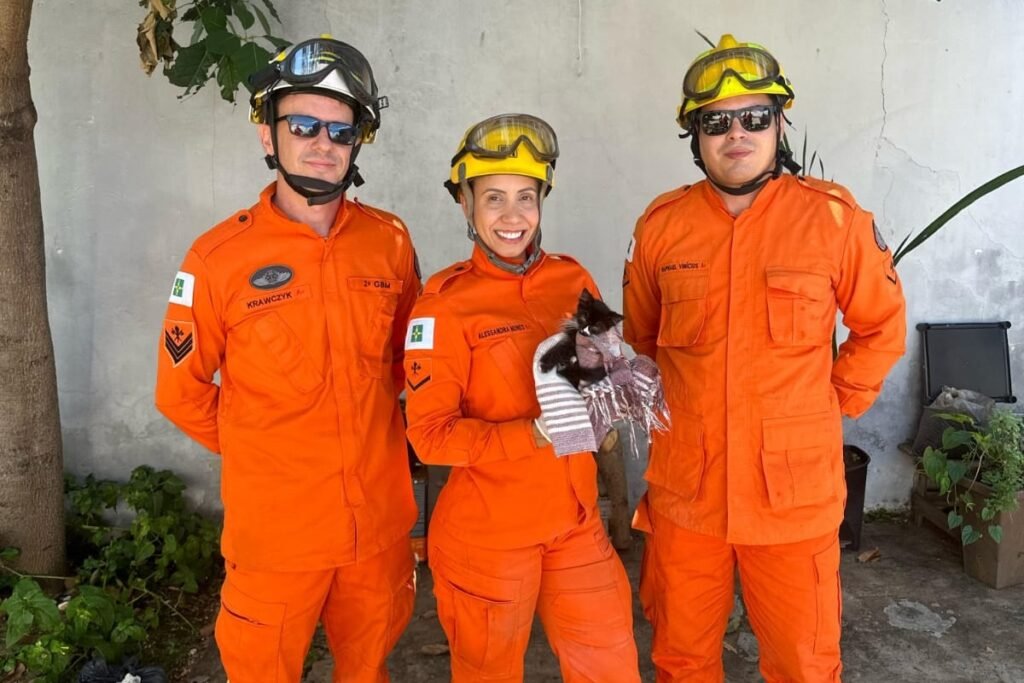 Filhote resgatado por bombeiros em Taguatinga Sul