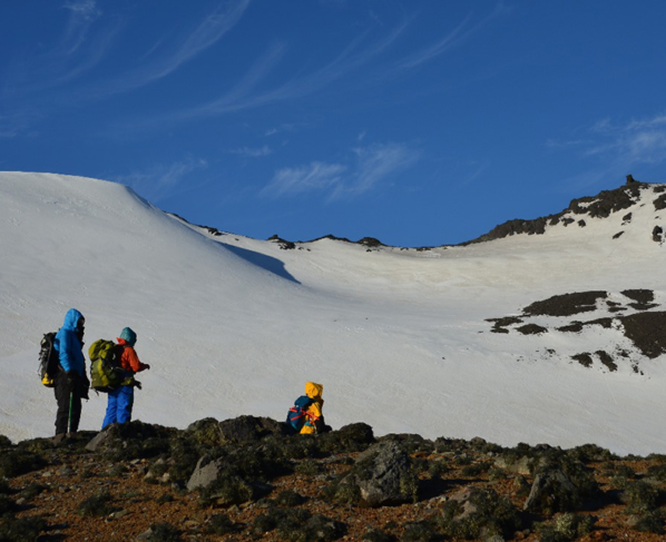 pesquisa na Antártica