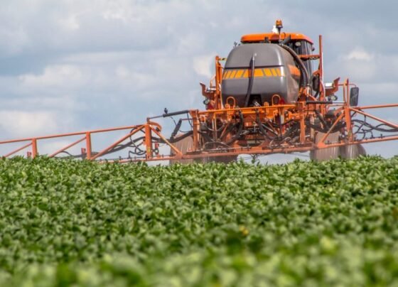 agro.mt