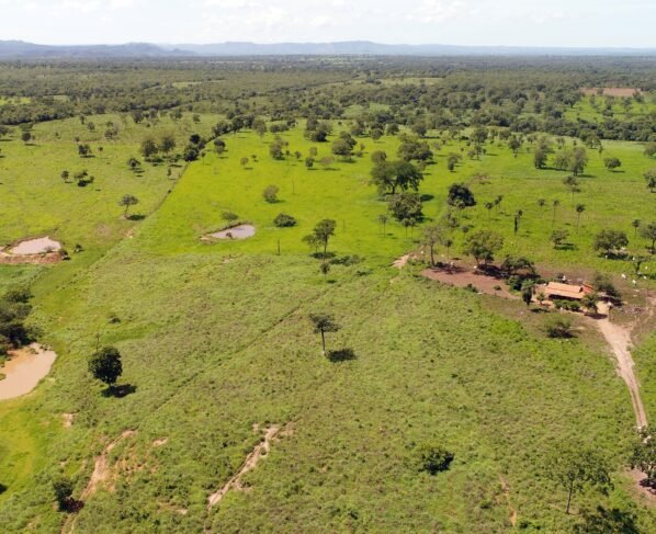 Selo Verde; plataforma que fornece diagnósticos sobre a conformidade ambiental das propriedades rurais