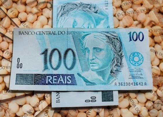 soja, dinheiro, cotação, preço