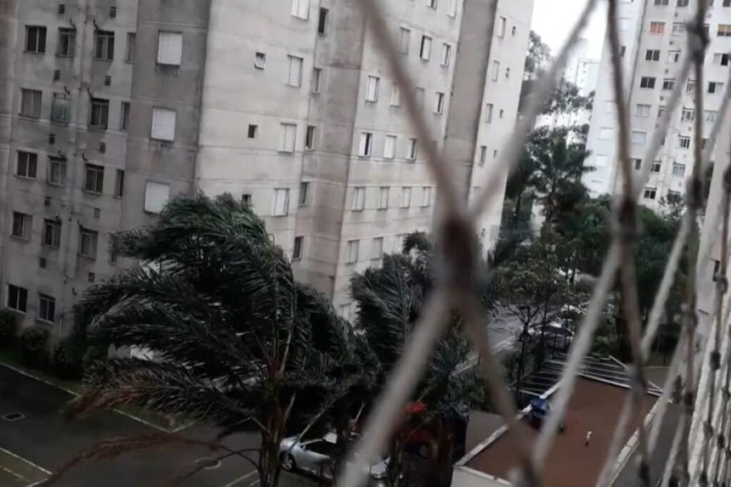 Imagens coloridas mostram árvores arqueadas pelo vento, fotografadas a partir da sacada de um apartamento, atrás da tela de proteção