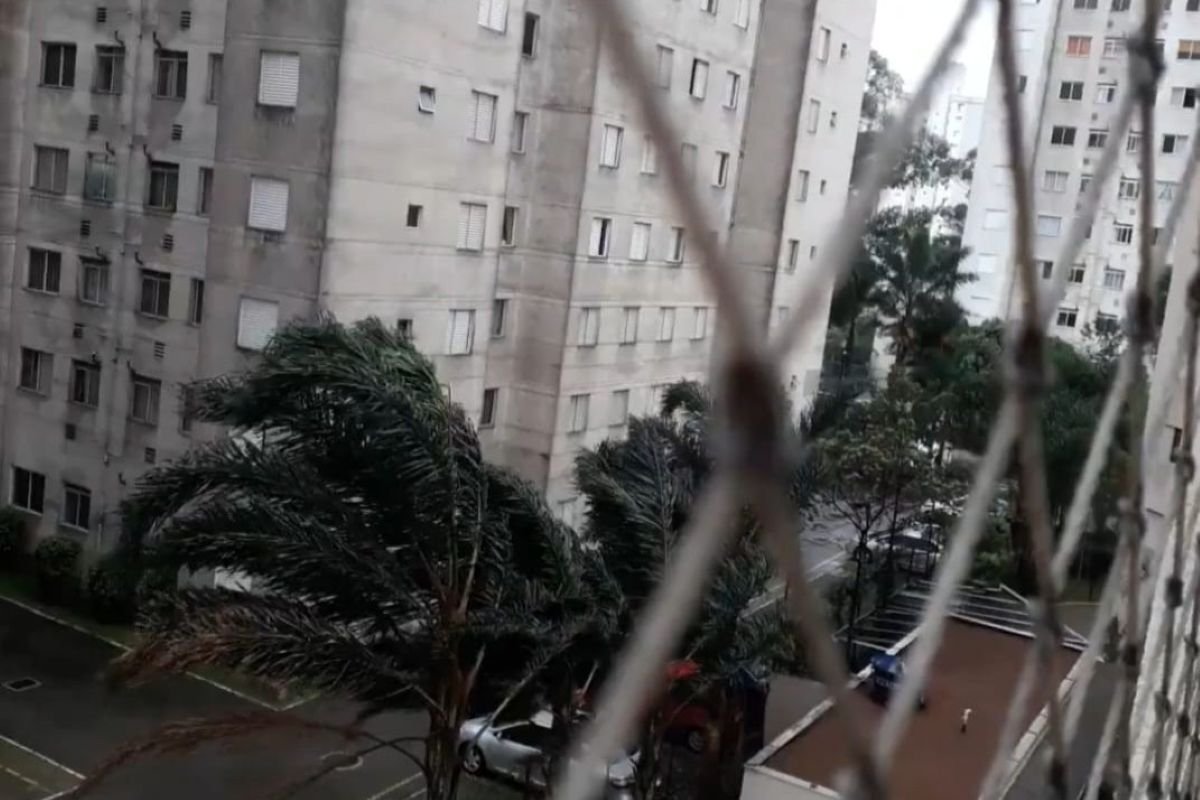 Imagens coloridas mostram árvores arqueadas pelo vento, fotografadas a partir da sacada de um apartamento, atrás da tela de proteção