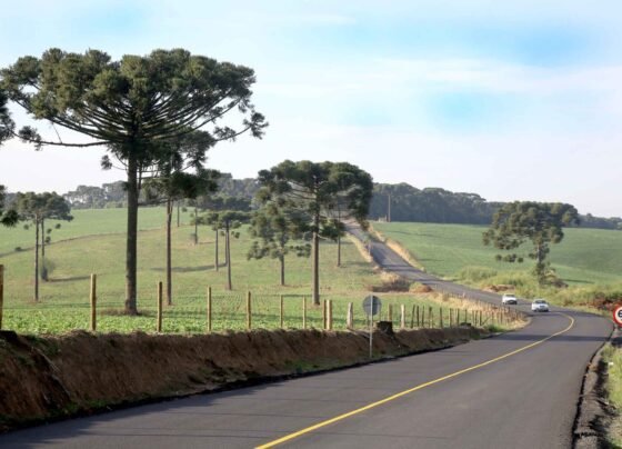 rodovias paraná