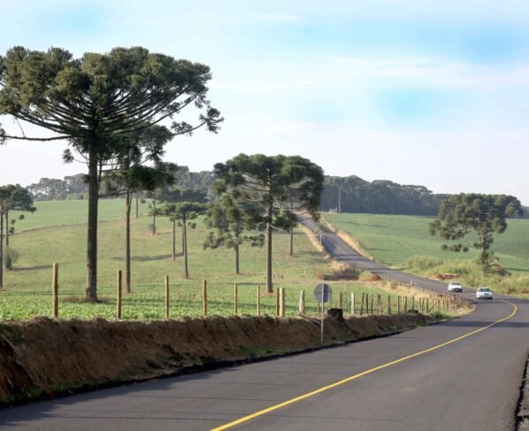 rodovias paraná