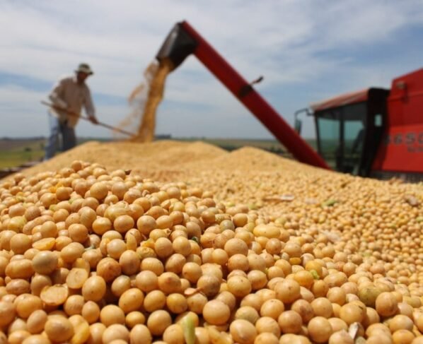 Plano Safra, colheita da soja, grãos. usda, soja, empregos