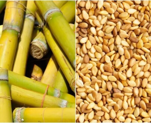 Brasil: cana-de-açúcar e gergelim