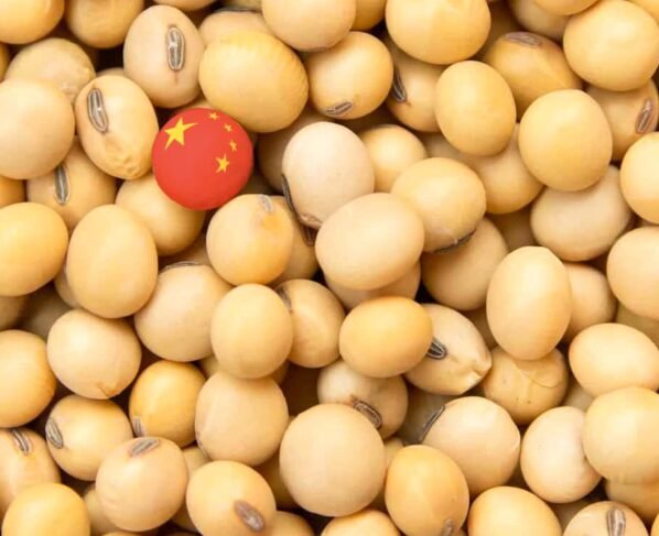china, soja