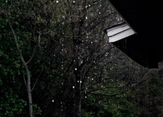 chuva - sete alertas meteorológicos