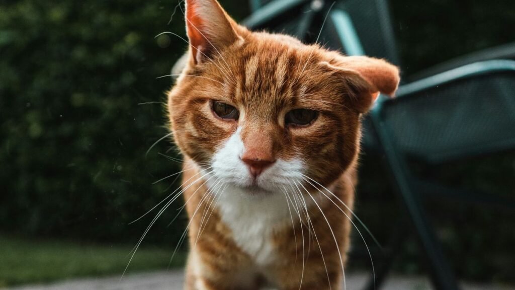 Louis Droege/Unsplash