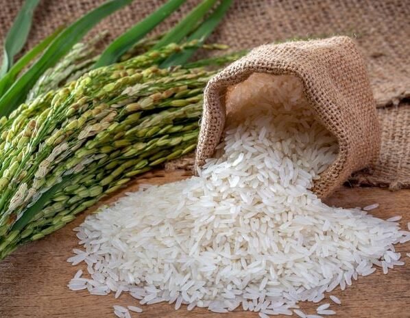 arroz brasileiro eua