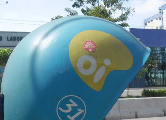 Roberto de Vasconcelos/Wikimedia Commons