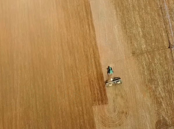 Programa Soja Brasil 41