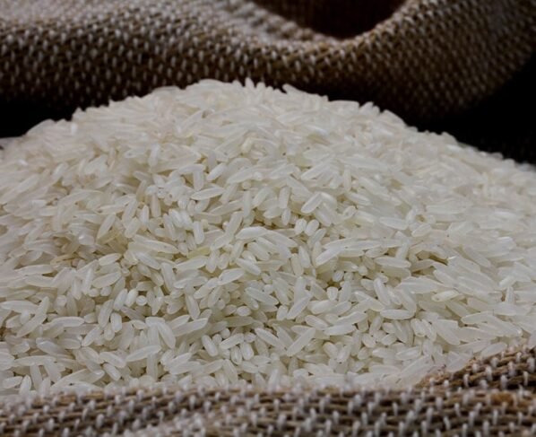 Indústria lança primeiro arroz rastreado com tecnologia da Embrapa