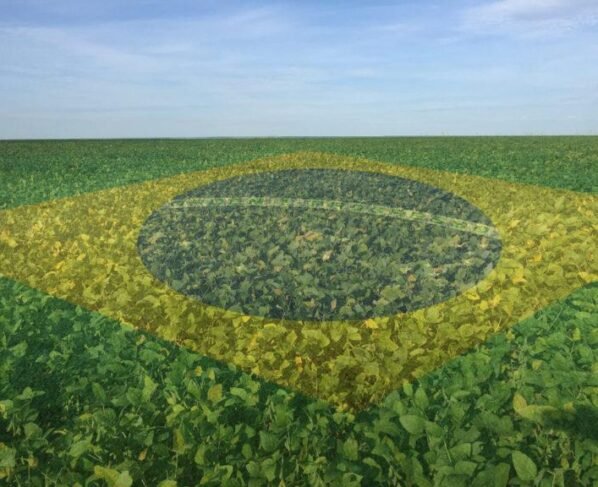 lavoura com bandeira do brasil agricultura