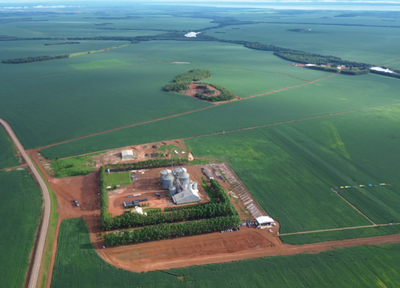 Produtores, Tocantins, biotecnológicas, fazenda alto da serra, porto nacional, Soja, produção