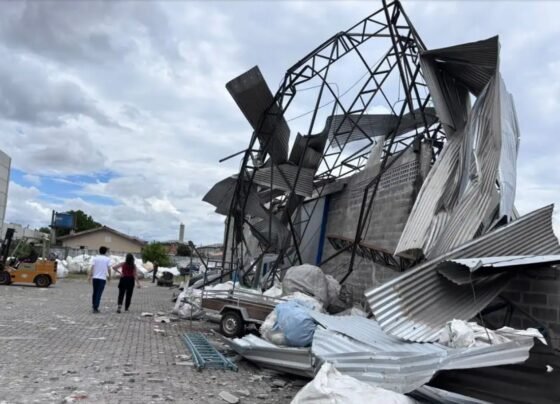 cidade paraná ventania