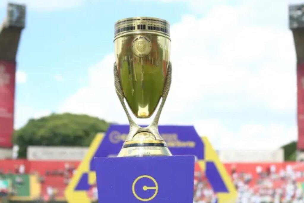 Cruzeiro x São Paulo decidem Copinha em reencontro histórico; confira - destaque galeria