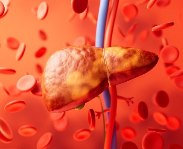 Ilustração colorida de fígado humano - Exagerou? Hepatologista conta o que é bom para desintoxicar o fígado - Metrópoles