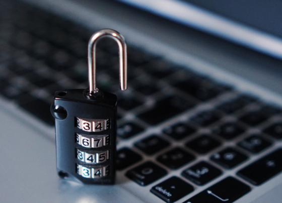 TheDigitalWay/Pixabay