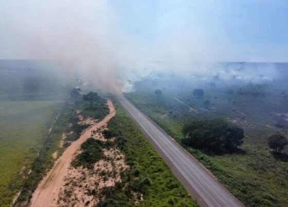 incêndio em vegetação, BR-242 em Barreiras; Oeste da Bahia