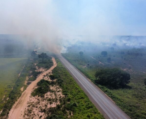 incêndio em vegetação, BR-242 em Barreiras; Oeste da Bahia