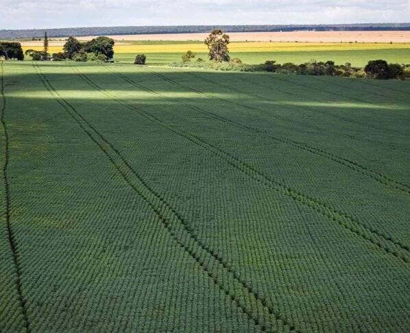 Proagro, financiamento