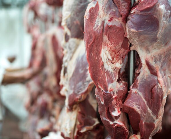 carne bovina frigoríficos
