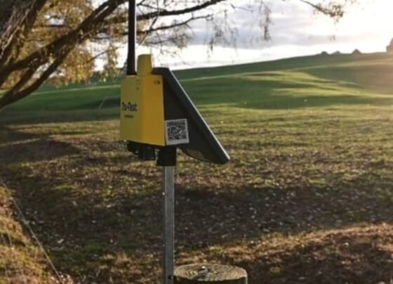 Monitor digital de cerca elétrica. Foto: Divulgação/Tru-Test Datamars