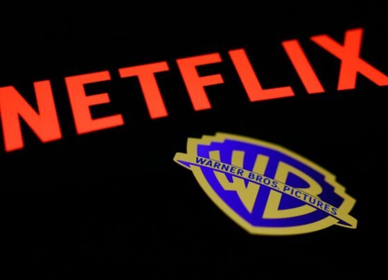 Netflix dá veredito sobre exibição dos filmes da Warner nos cinemas - destaque galeria