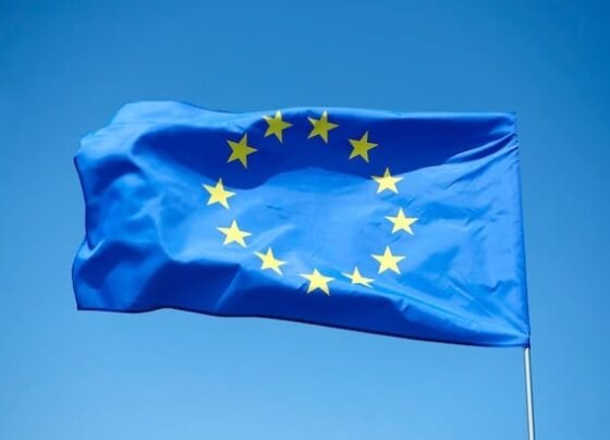 Pacto Verde europeu, importações, UE, Europa, antidesmatamento