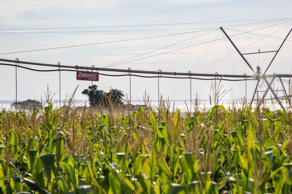 pivô de irrigação