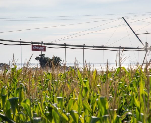pivô de irrigação