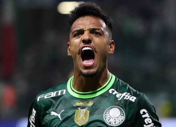 Santos anuncia chegada de Gabriel Menino para a temporada 2026 - destaque galeria
