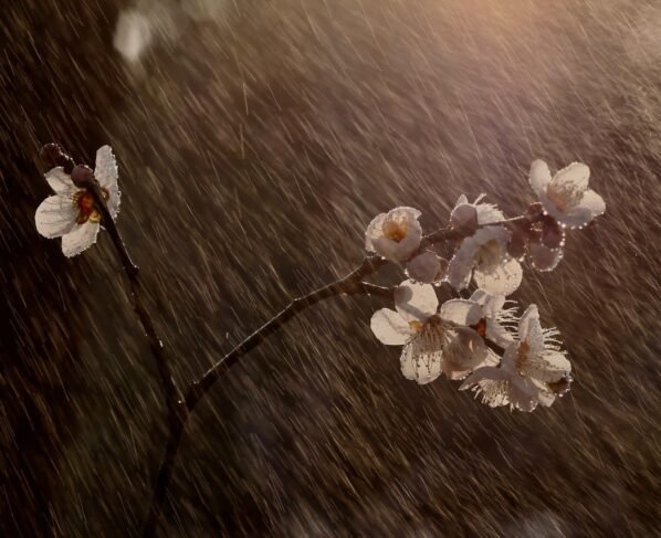 frente fria primavera temporais