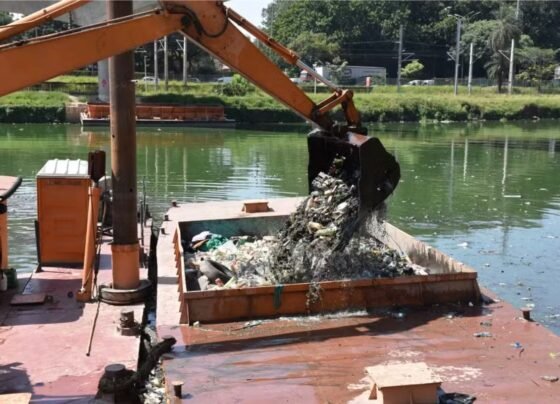 Veja objetos que compõem as 44 mil toneladas de lixo do Rio Pinheiros - destaque galeria