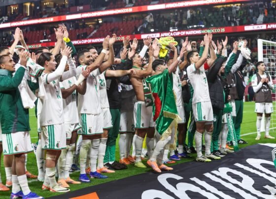 Copa Africana de Nações: veja todos os confrontos das quartas de final - destaque galeria