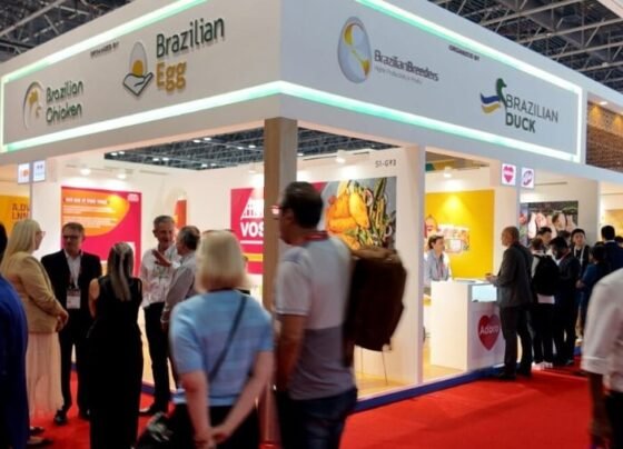 participação Brasil Gulfood 2026