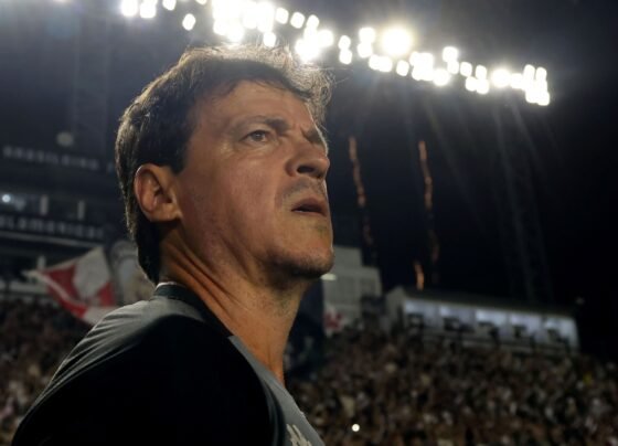 Imagem colorida de Fernando Diniz, do Vasco da Gama