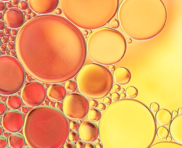 Foto colorida de células de gordura - Metrópoles