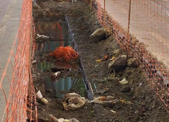 Trilhos de bonde são achados por acaso em obra sob o Minhocão. Veja - destaque galeria