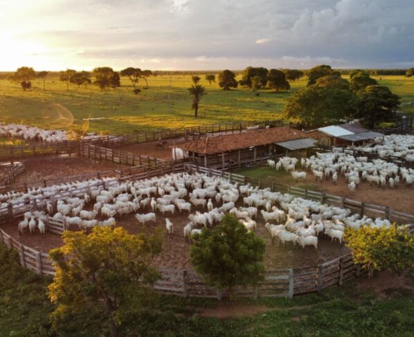 Fazenda Olhos D'Água. Foto: Divulgação.
