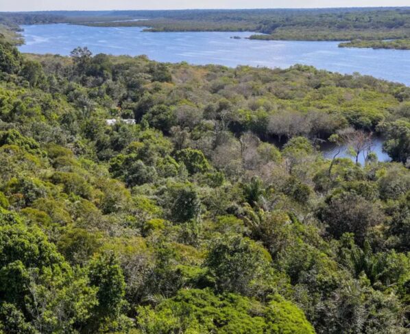 Foto: Fabio Rodrigues-Pozzebom/Agência Brasil.
