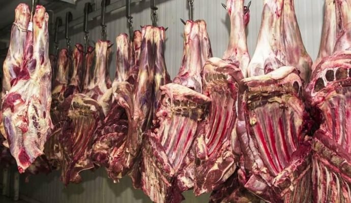 Brasil já participa com 28% do mercado internacional de carne;
