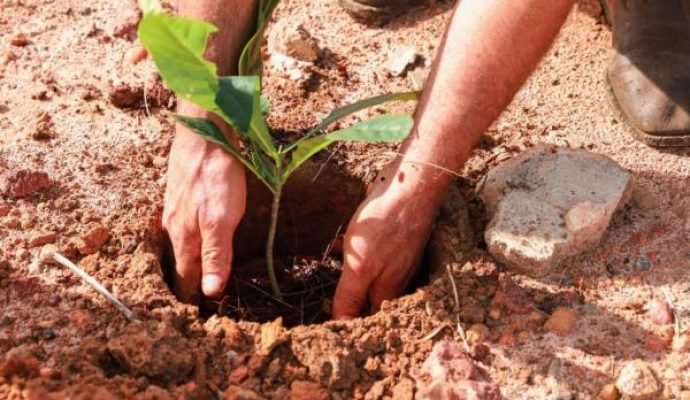 Em parceria, Sorriso e o Consórcio Caminhos do Mato Grosso