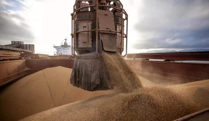 Preço da soja sobe na maioria das regiões do Brasil
