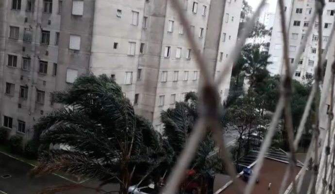 Imagens coloridas mostram árvores arqueadas pelo vento, fotografadas a partir da sacada de um apartamento, atrás da tela de proteção