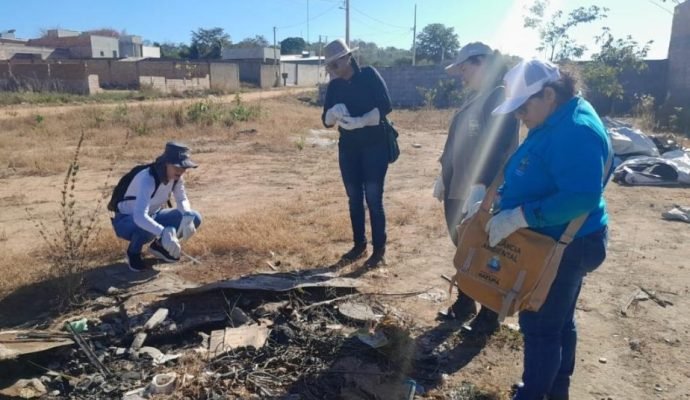 SES-MT capacita profissionais em Peixoto de Azevedo e Colíder para